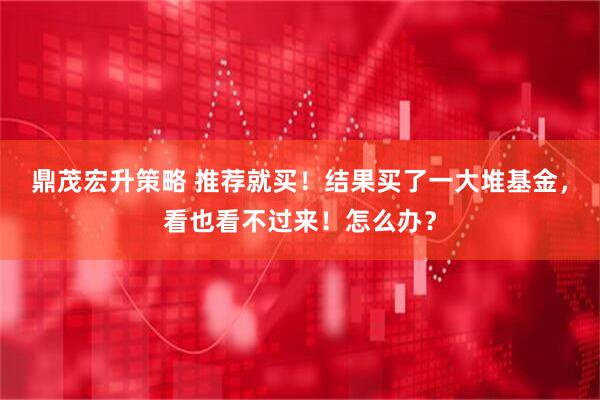 鼎茂宏升策略 推荐就买！结果买了一大堆基金，看也看不过来！怎么办？