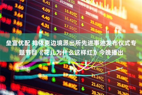 垒富优配 排依克边境派出所先进事迹发布仪式专题节目《花儿为什么这样红》今晚播出